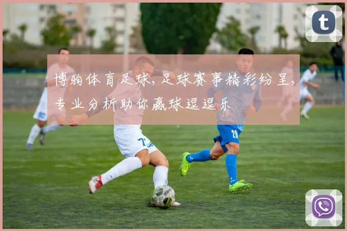 博狗体育足球,足球赛事精彩纷呈,专业分析助你赢球逗逗乐